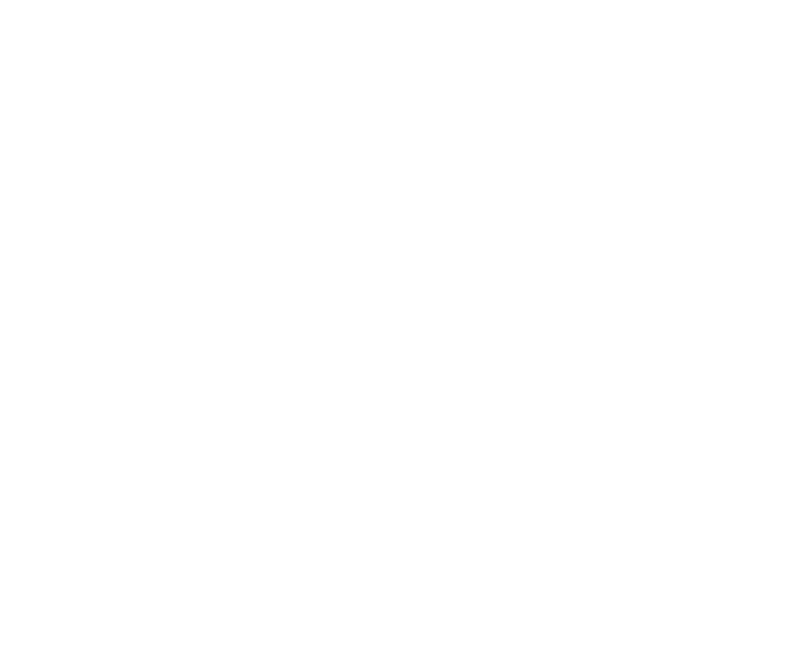 tb8-shape-10